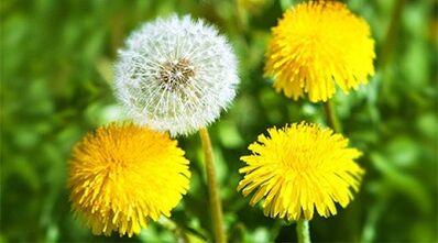 papilomu noņemšanas metodes, izmantojot tautas līdzekļus